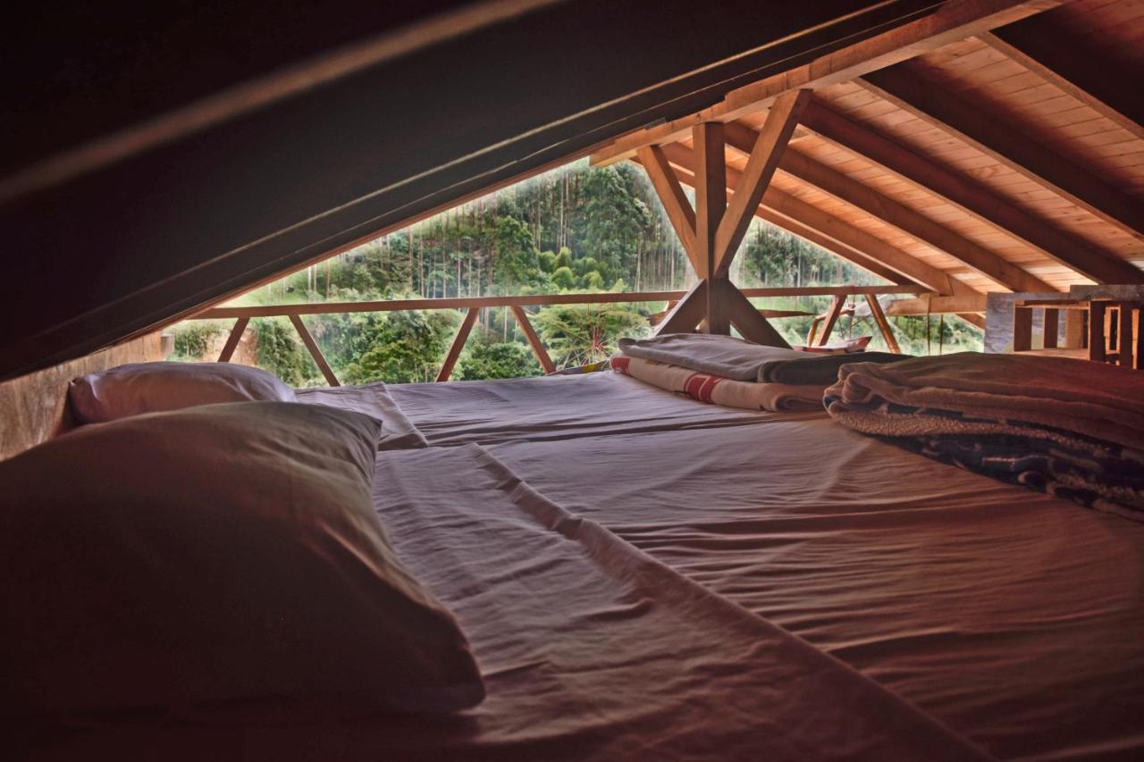 Creo Ecolodge Jardín Exteriér fotografie