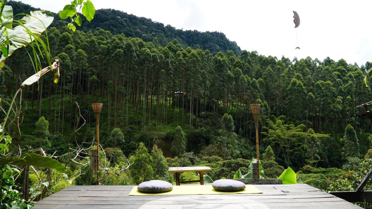 Creo Ecolodge Jardín Exteriér fotografie