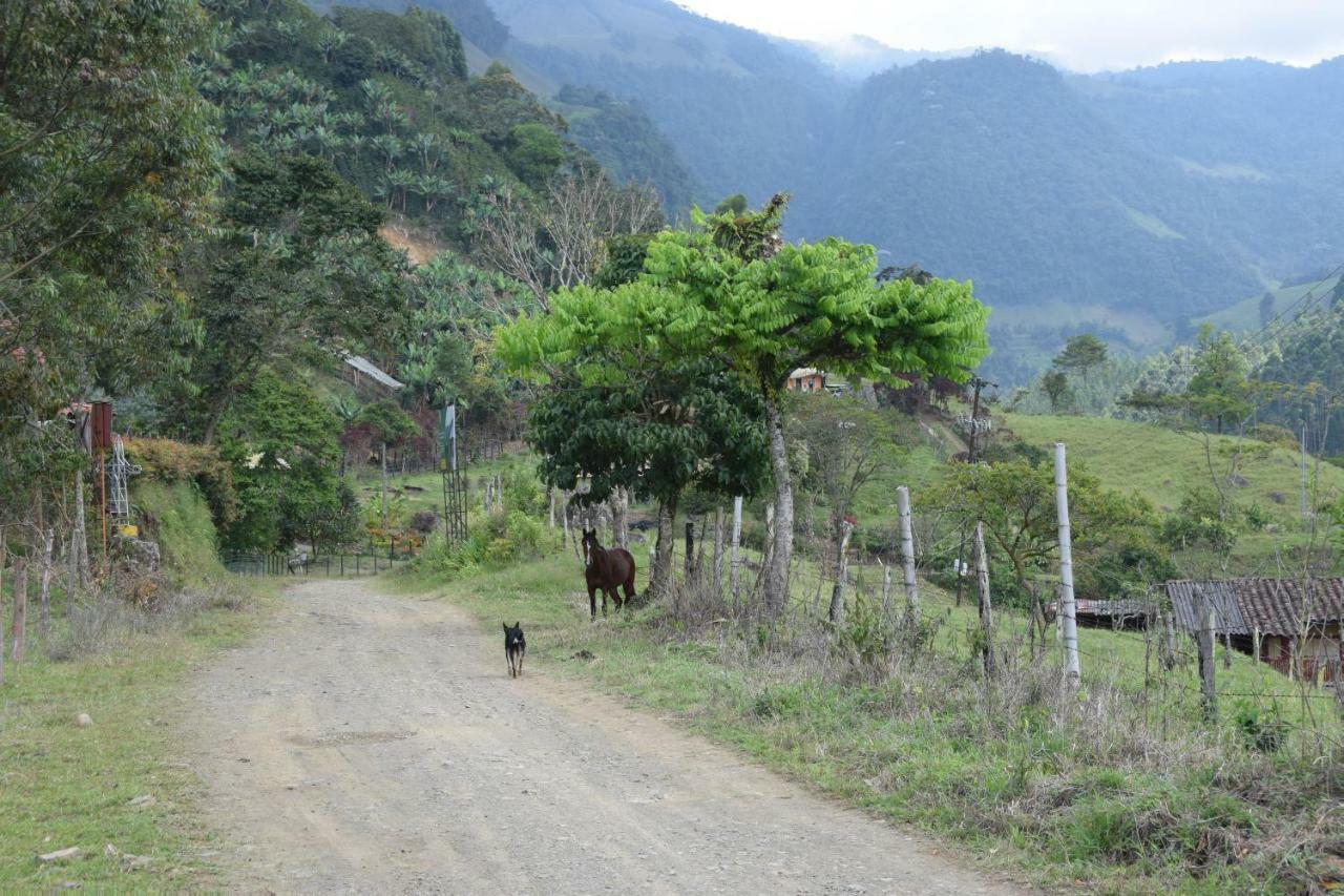 Creo Ecolodge Jardín Exteriér fotografie