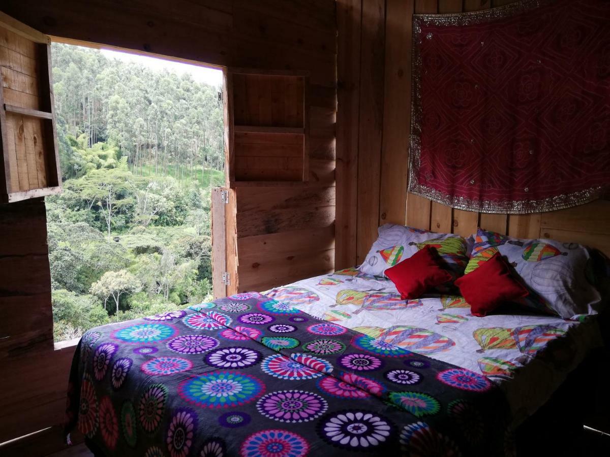 Creo Ecolodge Jardín Exteriér fotografie